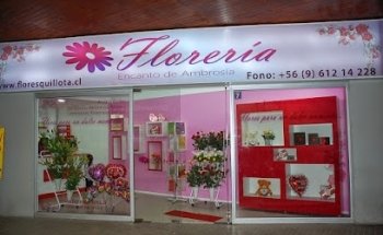 FLORES QUILLOTA