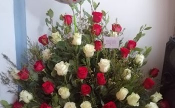 Floreria Flor y Rosas
