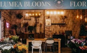 Lumea Blooms