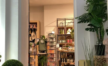 Garden Truffaut Toulouse Grand Hotel