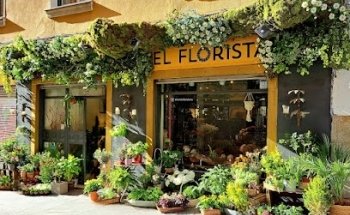El florista