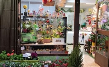 Floristería Eterna Primavera