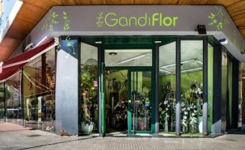 Gandiflor