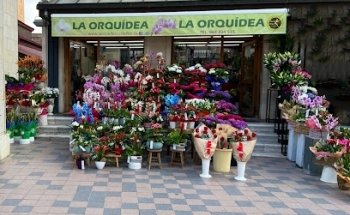 Floristeria La Orquídea Castellón