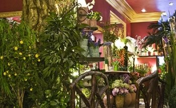 Floristeria El Arbol