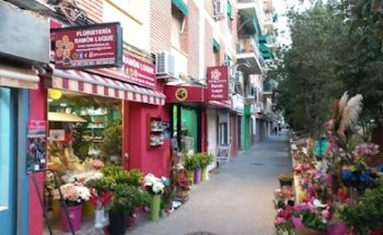 Florist Ramón Luque
