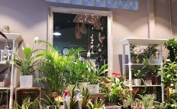 FLORISTERIA DONZOILO AVILA