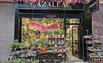 Floristería Azalea