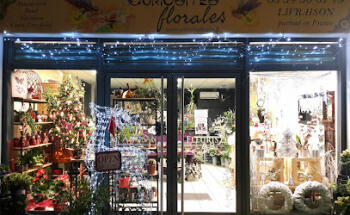 Floral Curiosities - Artisan Florist