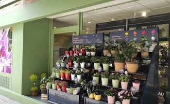 Mon Parnasse Flores - Alberto Aguilera