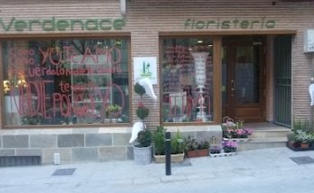 Floristería Verdenace