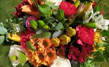 Floristería Los Olivos