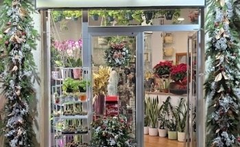 Pedro Moreno Florista