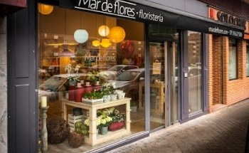 Mar de Flores Mirasierra