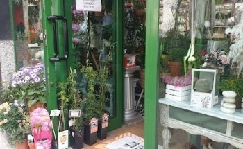 Floristería Flor de Lis