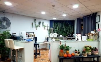 Floristería Guillermo Guillén