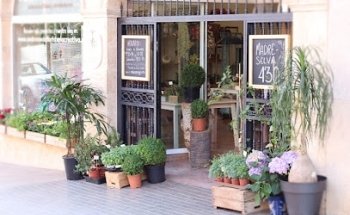 Andrómeda. Floristería Creativa.