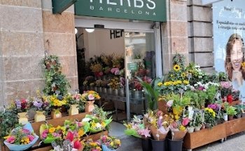 FLORISTERIA HERBS BALMES