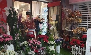 Floristeria Cristaflor Banús