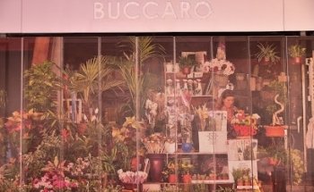 Floristeria Buccaro Alacant