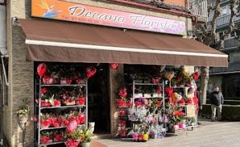 Decano Floristas