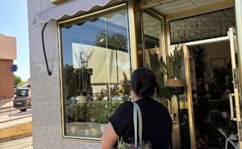 Flores y Plantas Loli