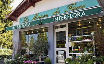 House of Flowers