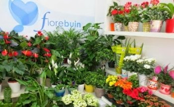 FLORISTERIA FIOREBUIN