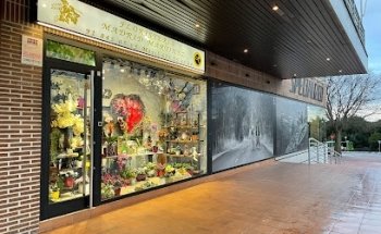 Floristería Madrid Martínez