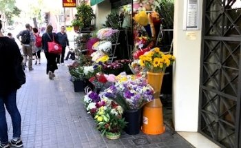 Floristeria Al Detall S.L.