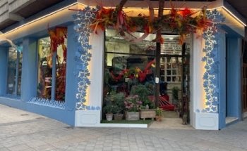 Floristería Orquídea Haus