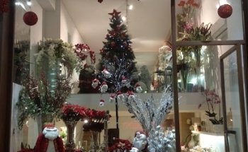 Floristería Carmina