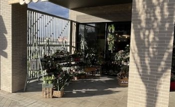 Atrezo florist Granada