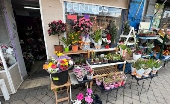 Floristería Las Flores de Alicia