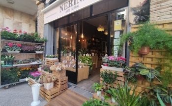 Floristeria Nerine Arte Floral