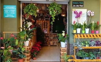 Floristeria El Bouquet