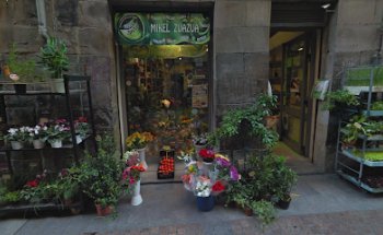 Semillas, Plantas y Floristeria Mikel Zuazua