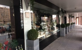 Goya Floristas