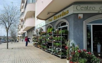 Viveros y Floristería Becedas