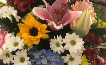 Floristería Cala Voro