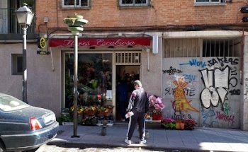 Flores Escabiosa Vicálvaro