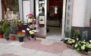 Floristeria Dos Brotes