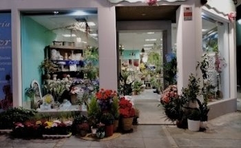 Floristería Anaflor