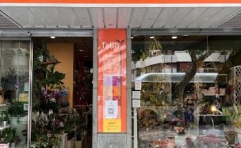 Tallo Floristas