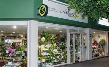 Floristería Araucaria