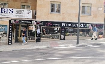 Floristería en Salamanca Florartdeco