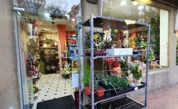 Floristería Jardín