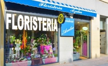 Floristería Azalea