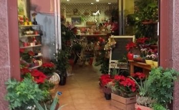 Floristería Susana y David
