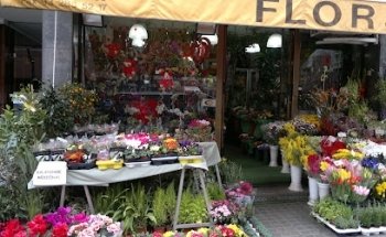 Floristeria ARTE JAPONÉS